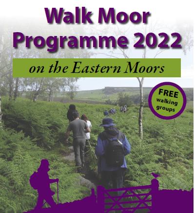 walk moor 1.jpg (36 KB)